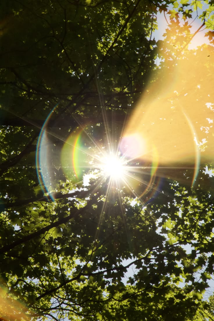 Comment l'Europe gère-t-elle la canicule ? La chaleur en arabe classique